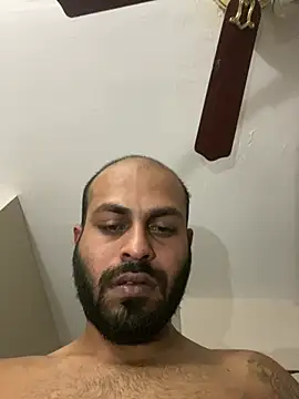islandvybee55