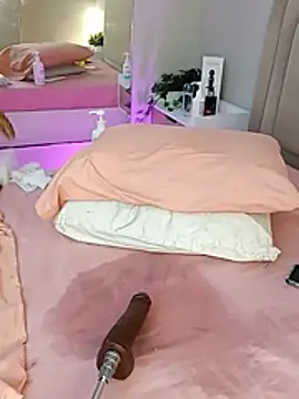 Liastarkk webcam