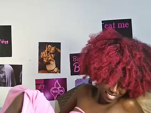 Aria_ah webcam