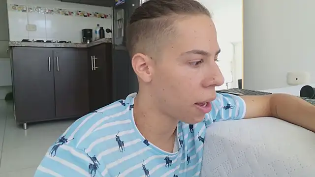 grey___27 webcam