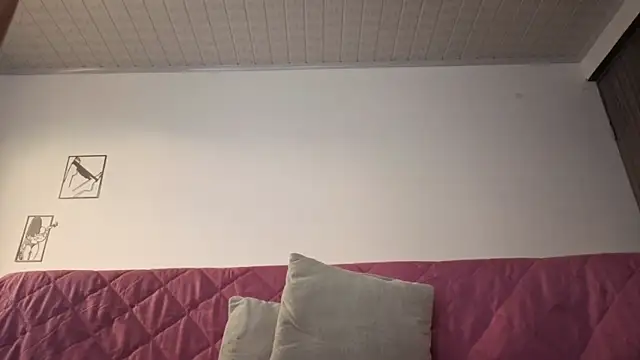 brandy_h9 webcam