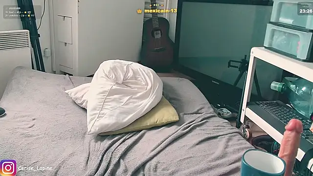 CeriseLapine webcam