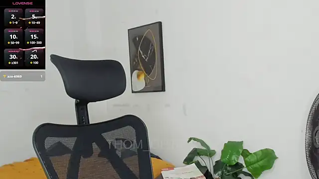 Thom_Ohtani webcam