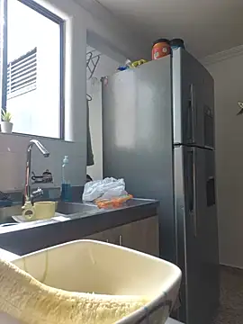 karla-bruni webcam