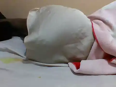 LARN-C webcam