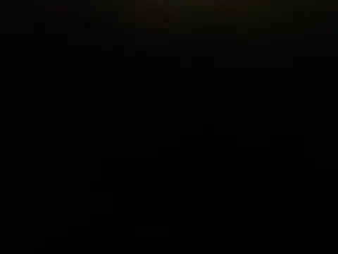 LynaBleir webcam