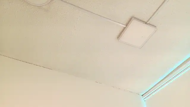 Viollette_Kat webcam