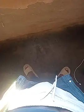 WiseDi webcam