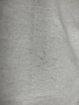 Virgineguy123 webcam