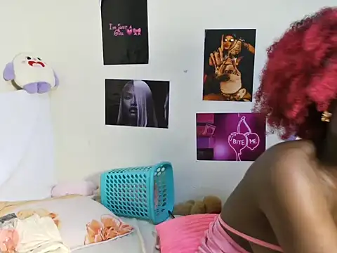 Aria_ah webcam
