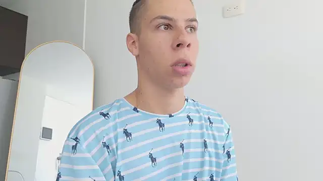 grey___27 webcam