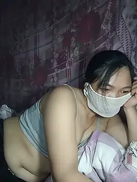 Hiha-nn webcam