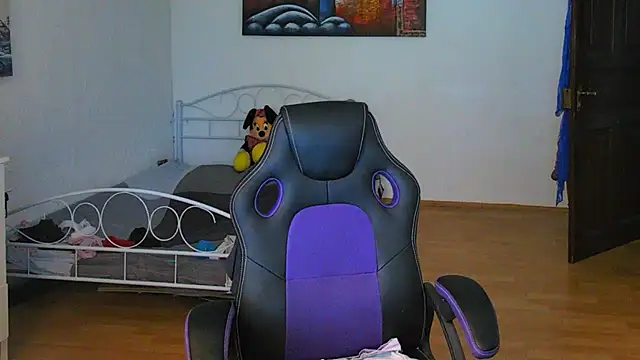 Sylly webcam