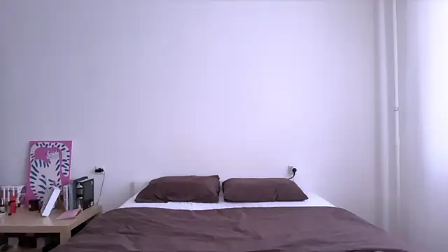 Milky___Way webcam