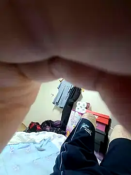 bch1045 webcam