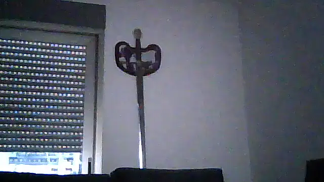 SirFrankonde webcam