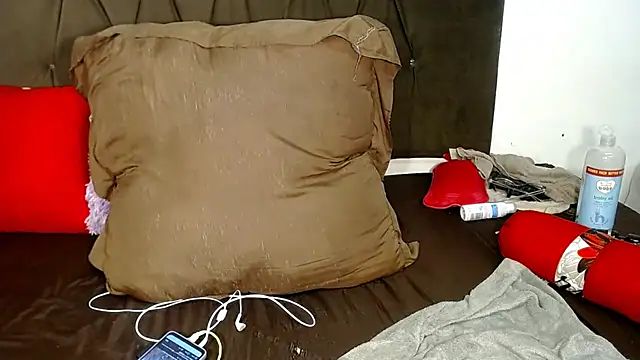 DidyBerry webcam