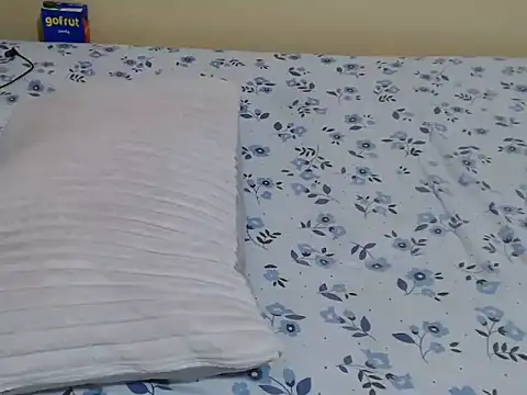 lynnsee webcam