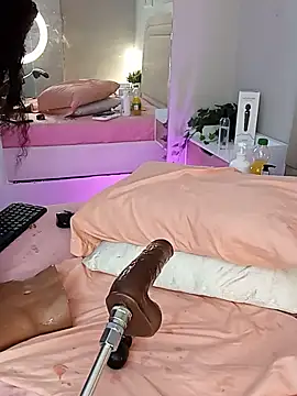 Liastarkk webcam