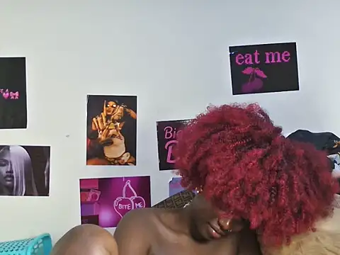 Aria_ah webcam