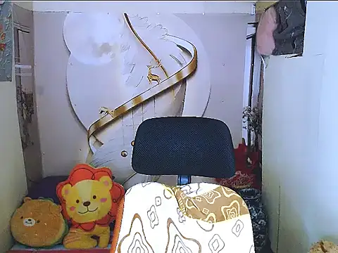 nica20 webcam