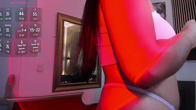 paulys_ webcam