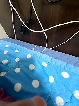 bch1045 webcam