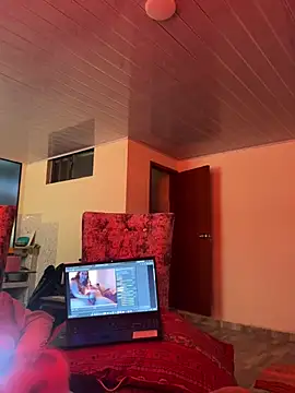 STIF020 webcam