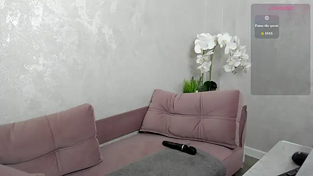 Dixon_Ross webcam