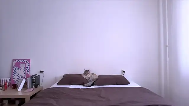 Milky___Way webcam