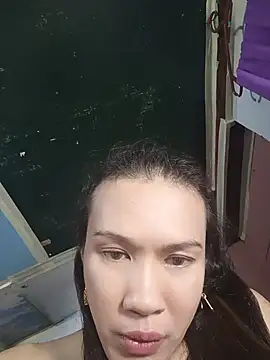 manilafoxts webcam
