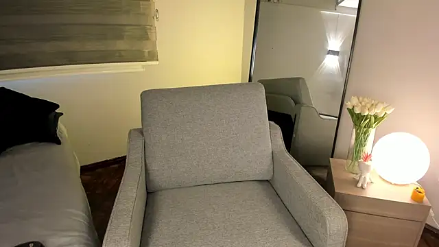 MERIDA_TAYLOR webcam