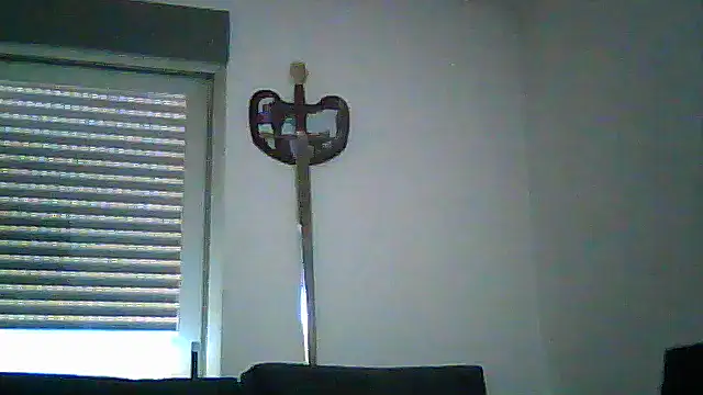 SirFrankonde webcam