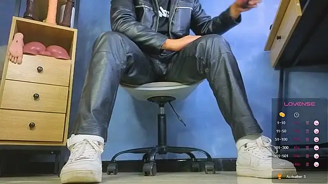 TomLover_12 webcam