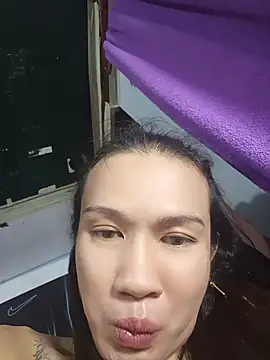 manilafoxts webcam