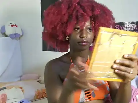 Aria_ah webcam