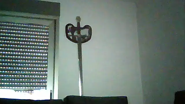 SirFrankonde webcam