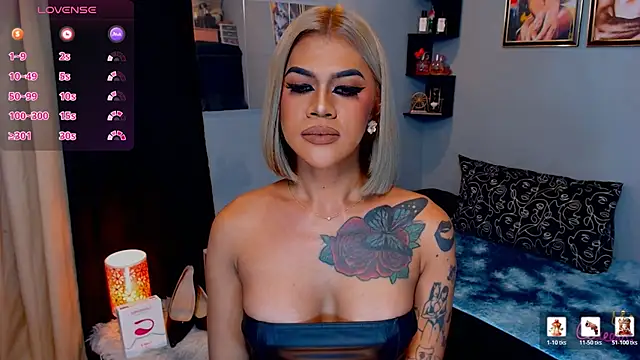 StellaStrong30 webcam