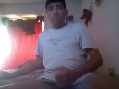 wa379 webcam