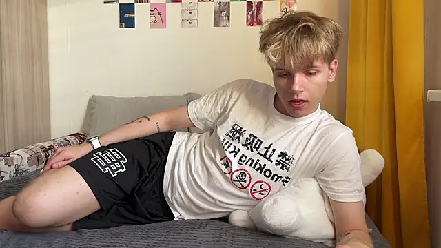 metarion webcam