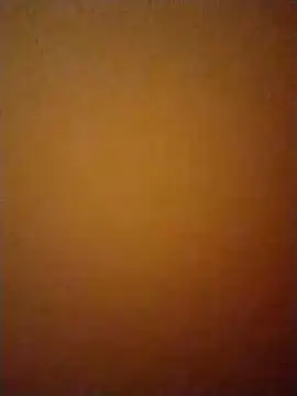 Belly_sam webcam