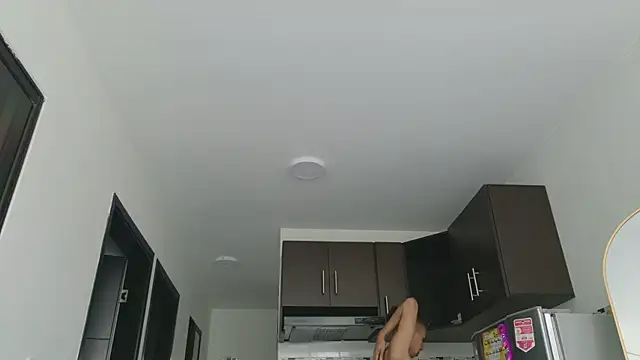 grey___27 webcam