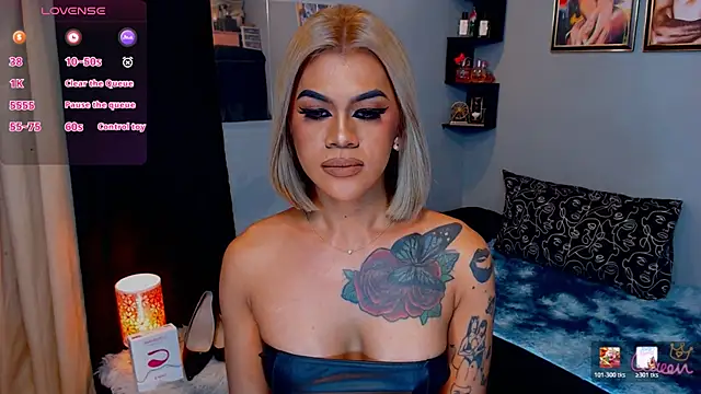 StellaStrong30 webcam