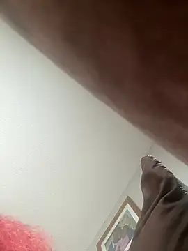 puchibad webcam