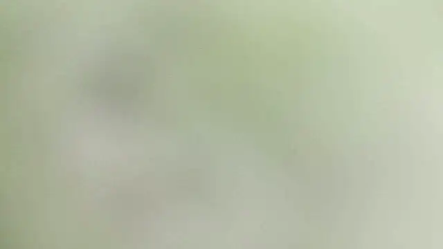 karol_stom webcam