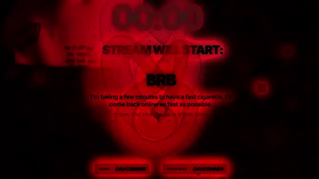 davesinner webcam