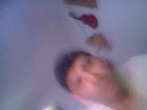 wa379 webcam