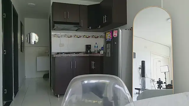 grey___27 webcam