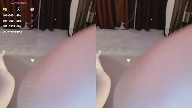 Vaidurya-Yolo webcam
