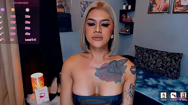 StellaStrong30 webcam
